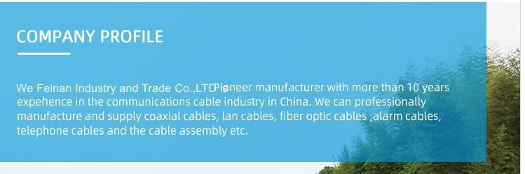 Customized 305m 1000FT Factory Supply Communication FTP Cat5e LAN Cable
