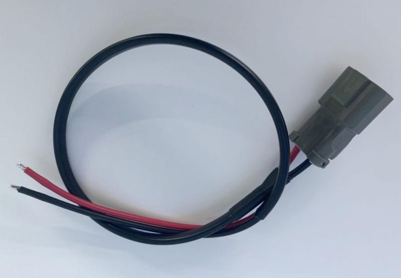 OEM Custom Automotive Original Jst Te Molex Connector Wire Harness Cable Assembly with Tin-Plating