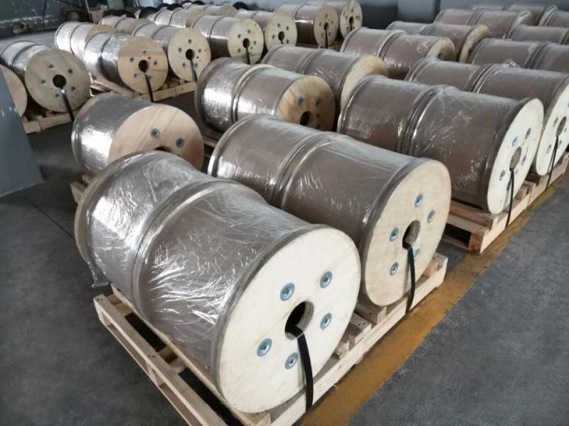 Copper Clad Steel CCS Single Wire (Diameter: 0.10mm- 4.0mm) Copperweld Wire for Electrical Power Cable