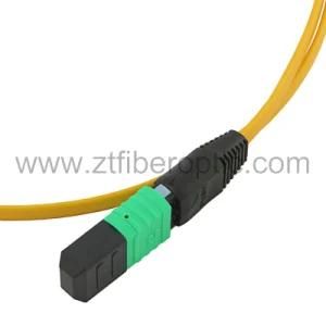 Singlemode 12fibers MPO Optical Fiber Pigtail