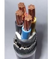 U1000 Rvfv Cable Armored Copper Cable