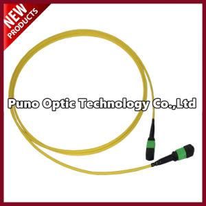12 Fibers OS2 Multimode MPO-MPO Fiber Optic Patch Cord