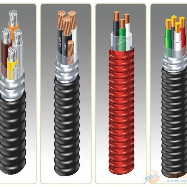 Wdza-Yjlhb90 Chain Armoured and PVC Sheathed Cable 8000 Alloy