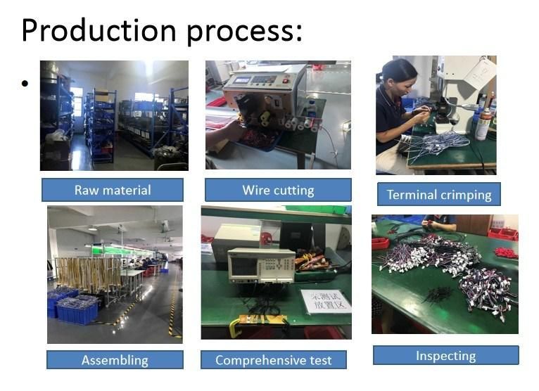 Custom China Factory OEM Cable Wire Harness with 3pin Terminal Connector for Automotive Power Charger