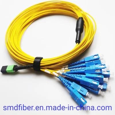 MPO/APC (M) -Sc/Upc Sm 9/125 12fiber LSZH 5m Type a