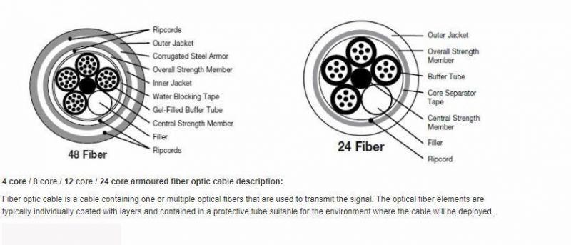 2 / 4 / 6 / 12 Core Single Mode Armoured Fiber Optic Cable