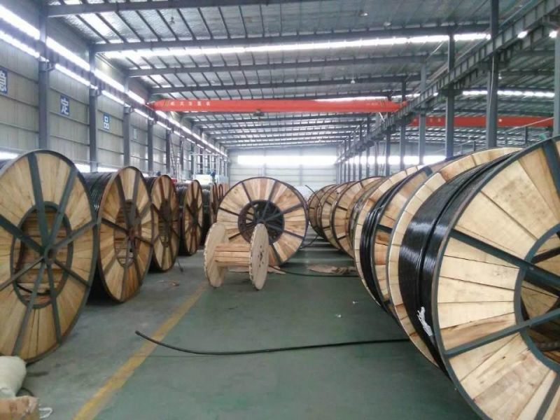 ACSR Conductor and Cable for Transmission & Distribution Line