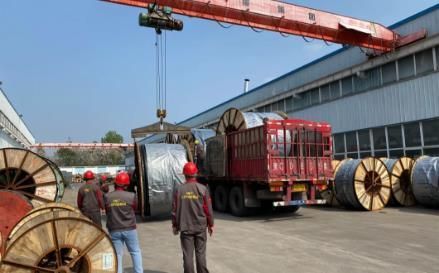 061kv XLPE Armoured Cable Manufacturer 240mm Power Cable