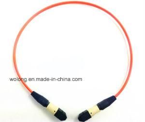 MPO Connector and Patch Cord