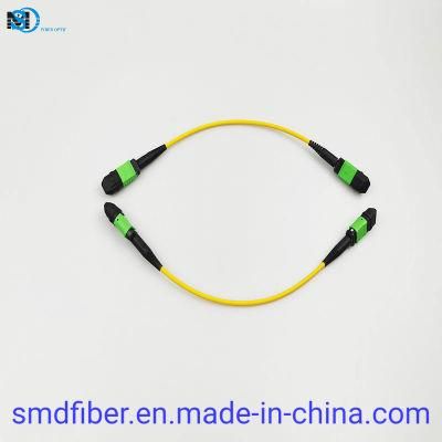 Fibe Patch Cord MPO/APC-MPO-APC Sm G657A1 12 Fiber LSZH 20cm