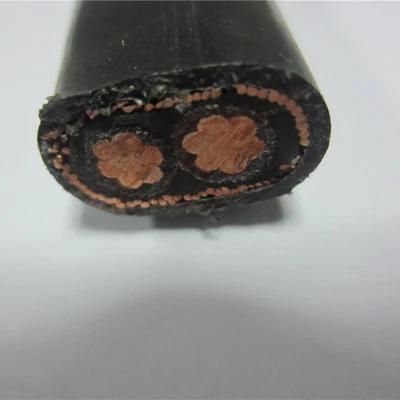0.6/1kV 2X6mm2 2X10mm2 PVC Insulated Copper Flat/Round Concentric Cable