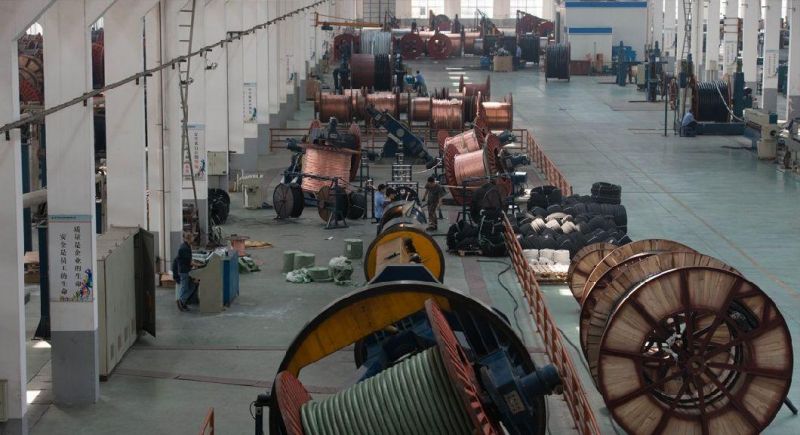 95 Sq.mm PVC Insulated Copper Conductor IEC 60227-3