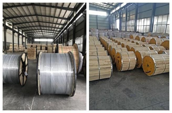 Wholesale Overhead Conductor ACSR Bare Aluminium Steel Core Wire