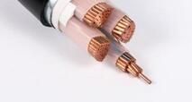 Italian Standard Control Cable A03VV-F