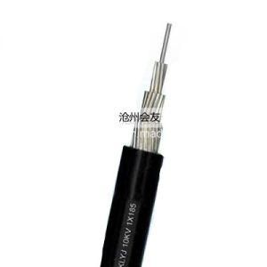 Overhead Cable Low/Medium Voltage Copper (Aluminium) Core PVC Insulated Power Cable