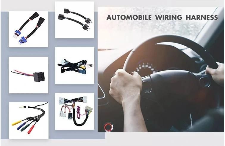 Custom Battery Connector Wire Harness Ec5 Xt90 Banana Connector Male Female with Ultra Flexible Silicone Cable