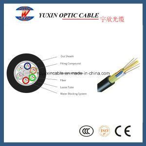 Single Jacket Non-Metal Member Waterproof Dielectric Loose Tube Outdoor Cable (GYFTY)