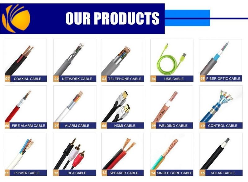 Customsized High Temperature PT100 Rtd Thermocouple Wire Compensation Cable for Motor