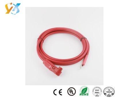 OEM/ODM Custom/Customized New Energy Automotive Charger Wire Harness/Wiring Harness for All Kinds of Auto Car