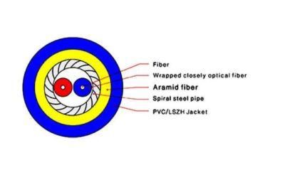 Gjsfjv Indoor 4 Cores Gjxdh FTTH Fiber Optical Cable From China