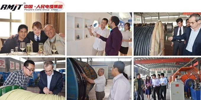 Single Core 1.5mm / 2.5mm Copper Conductor PVC Insulation Wiring Electrical Cable