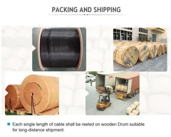 ADSS Double Jacket All Dielectric Self-Support Manufactory G. 652 Aerial Communication Cables