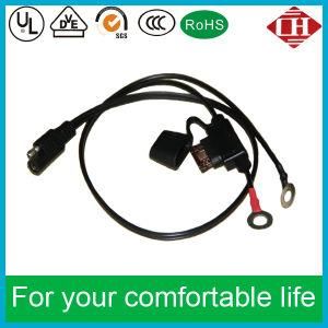 RoHS &amp; UL Certification Automotive Cable Assembly