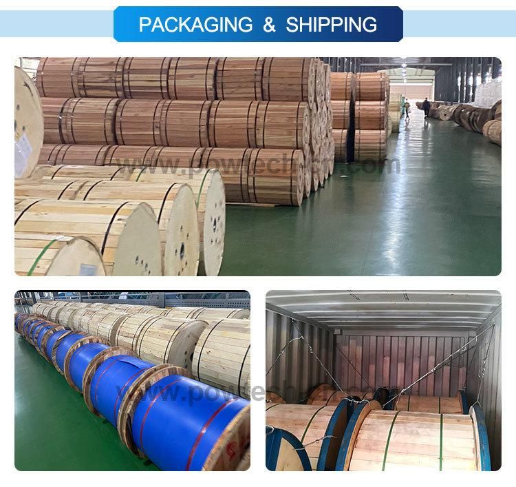 Gytc8a GYTC8S Gyfxtc8y G652D G655 G657 Outdoor Fibre Cable Optic Fiber Cable