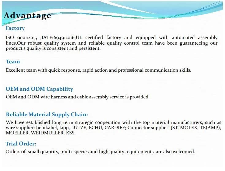 Auto Wire Harness Electronic Cable Assemblies