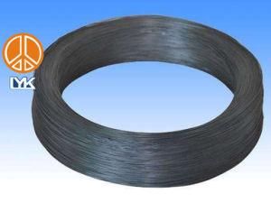 UL10269 PVC 3AWG 1000V CSA FT1 Hook up Electric Internal Connecting Wire