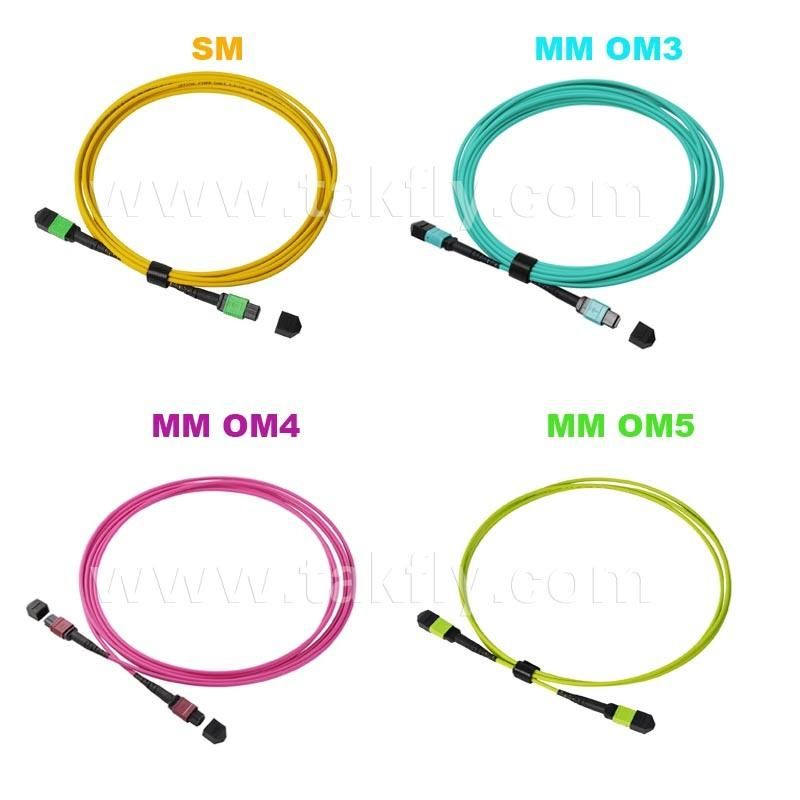 12/24 Cores MPO MTP Sm Om3 Om4 Om5 Fiber Optic MPO Fiber Cable