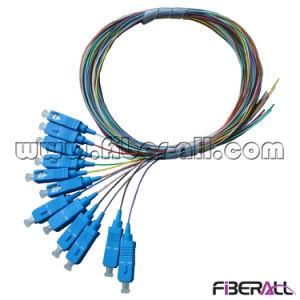 12 Cores 0.9mm Sc Fiber Optic Pigtail with 12 Colors