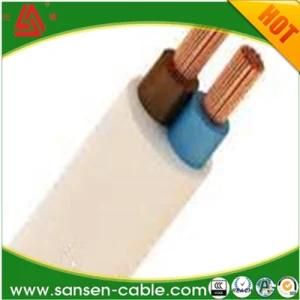 PVC Flexible Power Cable H03VV-F/Rvv Cable/Wire Light Duty Cable