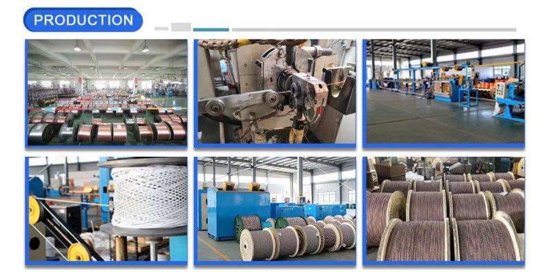 Manufacturer Communication UTP Cat5e CAT6 Cat7 LAN Cable for Data Network Pass Fluke Test
