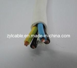 450/750V Flexible Electric Wires for Household
