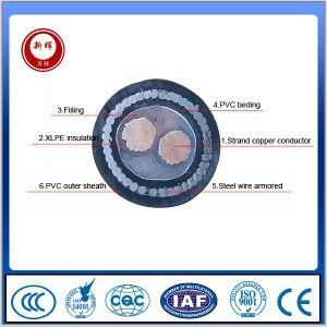 Two Cores Steel Wire Armored Electric Wire and Cables