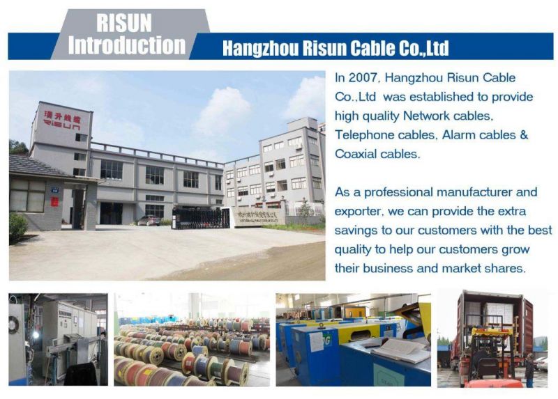 Risun New Products of Cw1293 Internal 2 Pair Telephone Cable