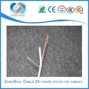 Thhn Thwn Copper PVC Nylon Building Electric Wet Wire for Home and Office