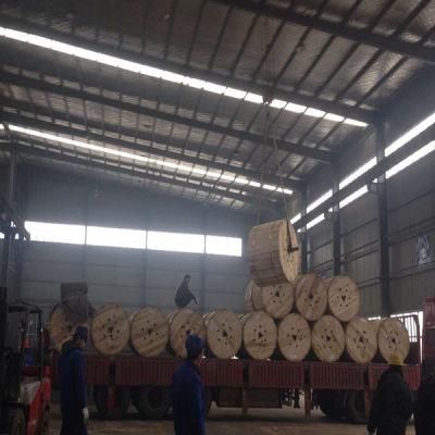 AAC All Aluminum Conductor Types of 120mm2 Electric Conductors AAC
