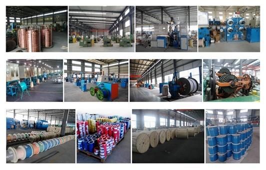 500V 1000V 20kv 50kv Silicone Cable Silicone Wire