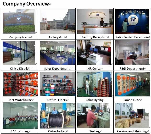 Aerial Optical Fibre Cable 2/12 Core Network Use Gyxtc8s