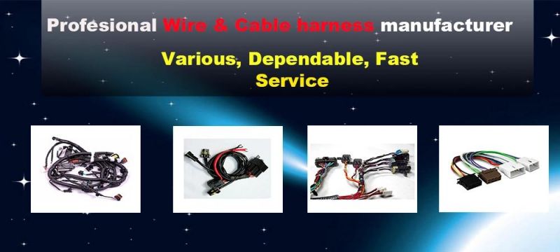 Custom Automotive Electrical Engine Wiring Harness