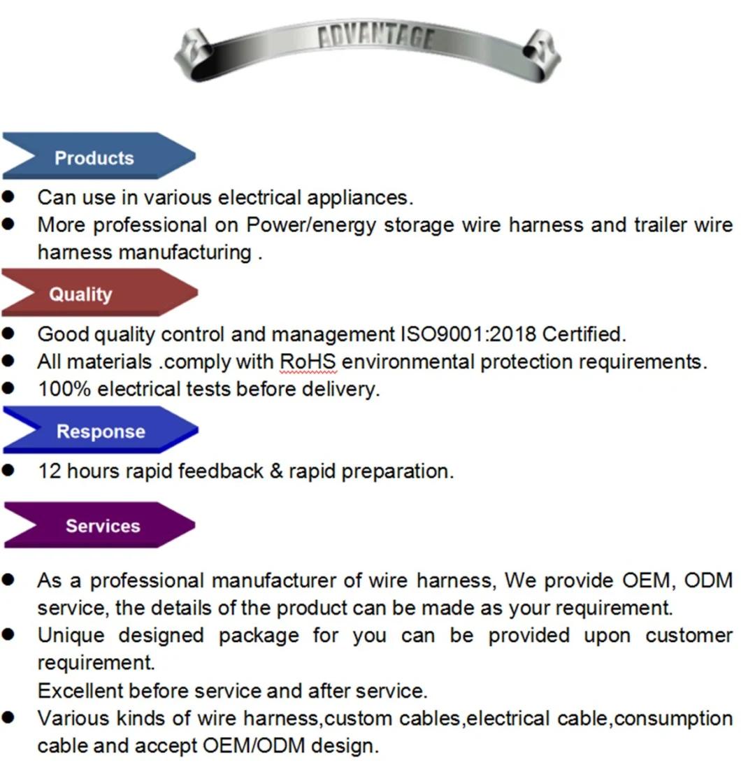 25mm2 100A Waterproof IP67 Energy Storage/Power Cable, EV Cable Black/Negative Cable Hv Connector Energy Storage Plug Connector with Cable