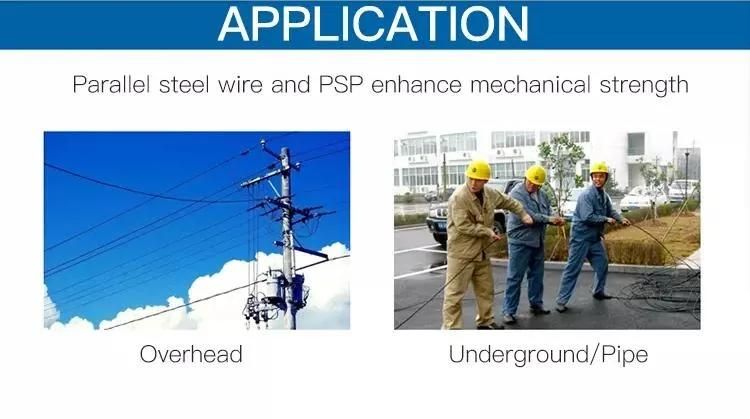 Factory Supply 1 2 4 Core FTTH with Messenger Indoor Outdoor Fiber Optic Drop Cable FTTH
