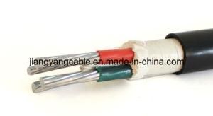 Anti-Termite, Ratproof Wire Cable (FYS-VLV)