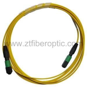 Singlemode 12fibers MPO-MPO Fiber Optic Patch Cord