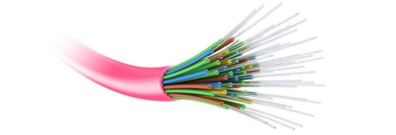 2m (7FT) MTP PRO-12 Male to MTP PRO-12 Male Om4 Multimode Elite Trunk Cable 12 Fiber Type B Plenum (OFNP) Magenta