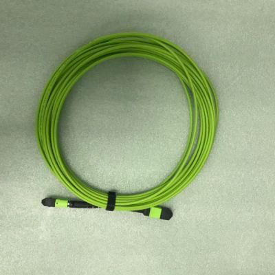 MPO (Female) -MPO (Female) Optical Fiber Patch Cord with Om5 Fiber Cable 10 Meter