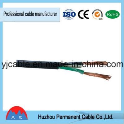 Tsj Pure Copper Conductor PVC+Nylon Insulation PVC Jacket Electric Electrical Wire Cable