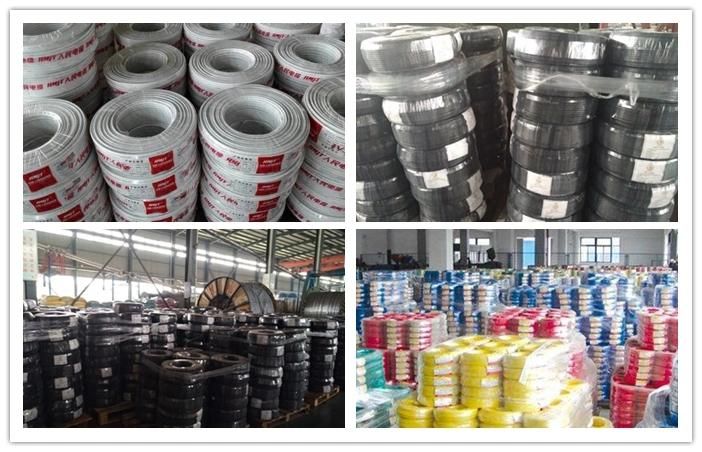 Top Quality BV Rvvb Rvv Bvr BVVB XLPE/PVC Insulated Flexible Copper Electrical Wire